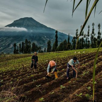 16 Kota/Kabupaten Jadi Lokasi AksiSebat Bareng,Tolak Hari Tanpa Tembakau Sedunia 2026