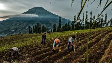 16 Kota/Kabupaten Jadi Lokasi AksiSebat Bareng,Tolak Hari Tanpa Tembakau Sedunia 2026