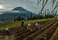 16 Kota/Kabupaten Jadi Lokasi AksiSebat Bareng,Tolak Hari Tanpa Tembakau Sedunia 2026