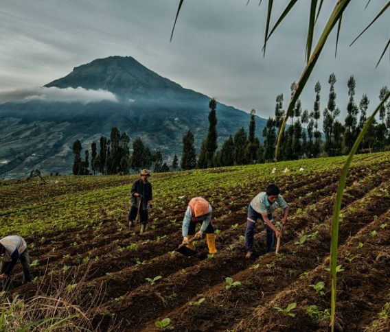 16 Kota/Kabupaten Jadi Lokasi AksiSebat Bareng,Tolak Hari Tanpa Tembakau Sedunia 2026