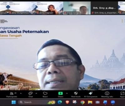 KPPU dan Pemprov Jateng Tingkatkan Pengawasan Kemitraan Ayam Broiler Demi Lindungi Peternak Plasma