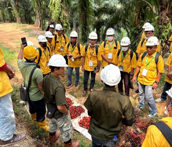 107 Pekebun Disiapkan Hadapi ISPO, LPP Agro Nusantara Jogja Bawa Misi Sawit Lestari ke Bengkulu